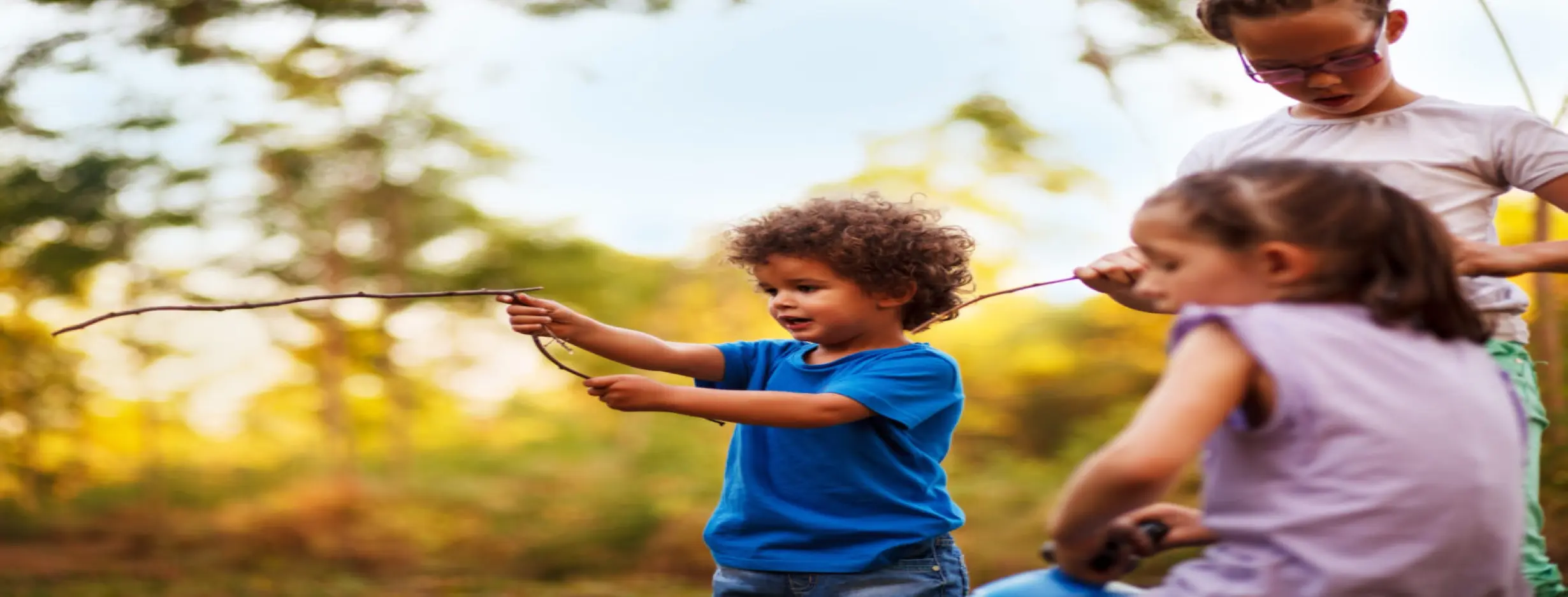 Image for Access to Nature